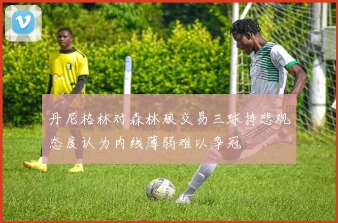丹尼格林对森林狼交易三球持悲观态度认为内线薄弱难以争冠