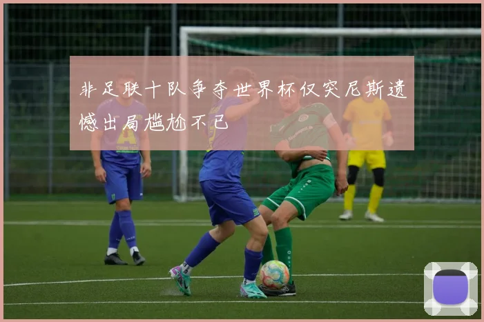 非足联十队争夺世界杯仅突尼斯遗憾出局尴尬不已